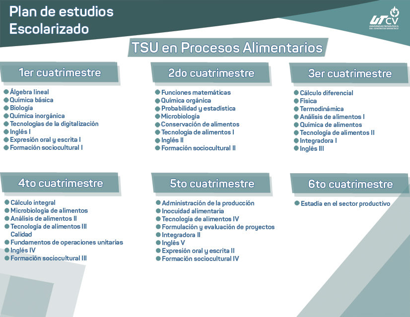 Imagen plan de estudios escolarizado