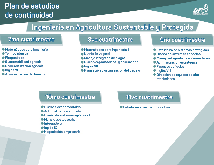 Imagen del plan de estudios escolarizado