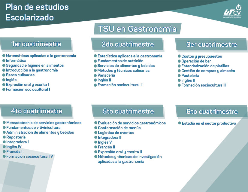 Imagen plan de estudios escolarizado